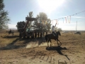 Foto0139
