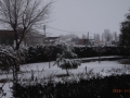 Exif_JPEG_PICTURE