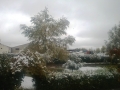 2013-11-16 12.32.15