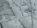 IMG-20180107-WA0001