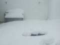 IMG-20180107-WA0009