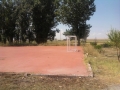 Foto0050